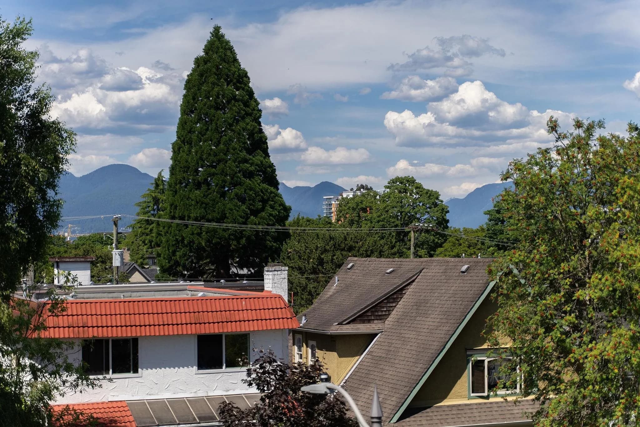 1 60 E 17th Avenue, Vancouver, BC V5V 1A2 — image 32