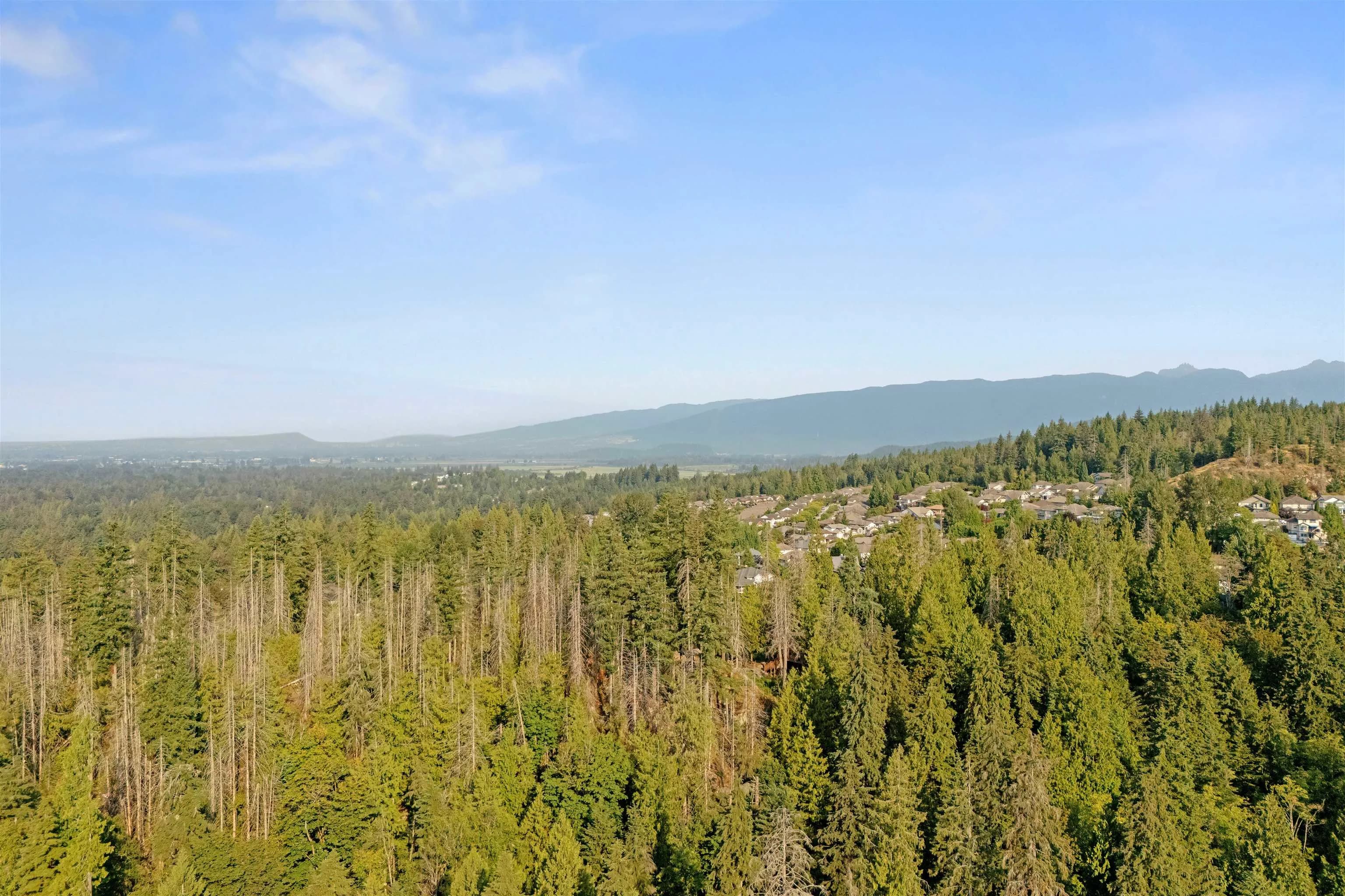 13175 239b Street, Maple Ridge, BC V4R 0A3 — image 39