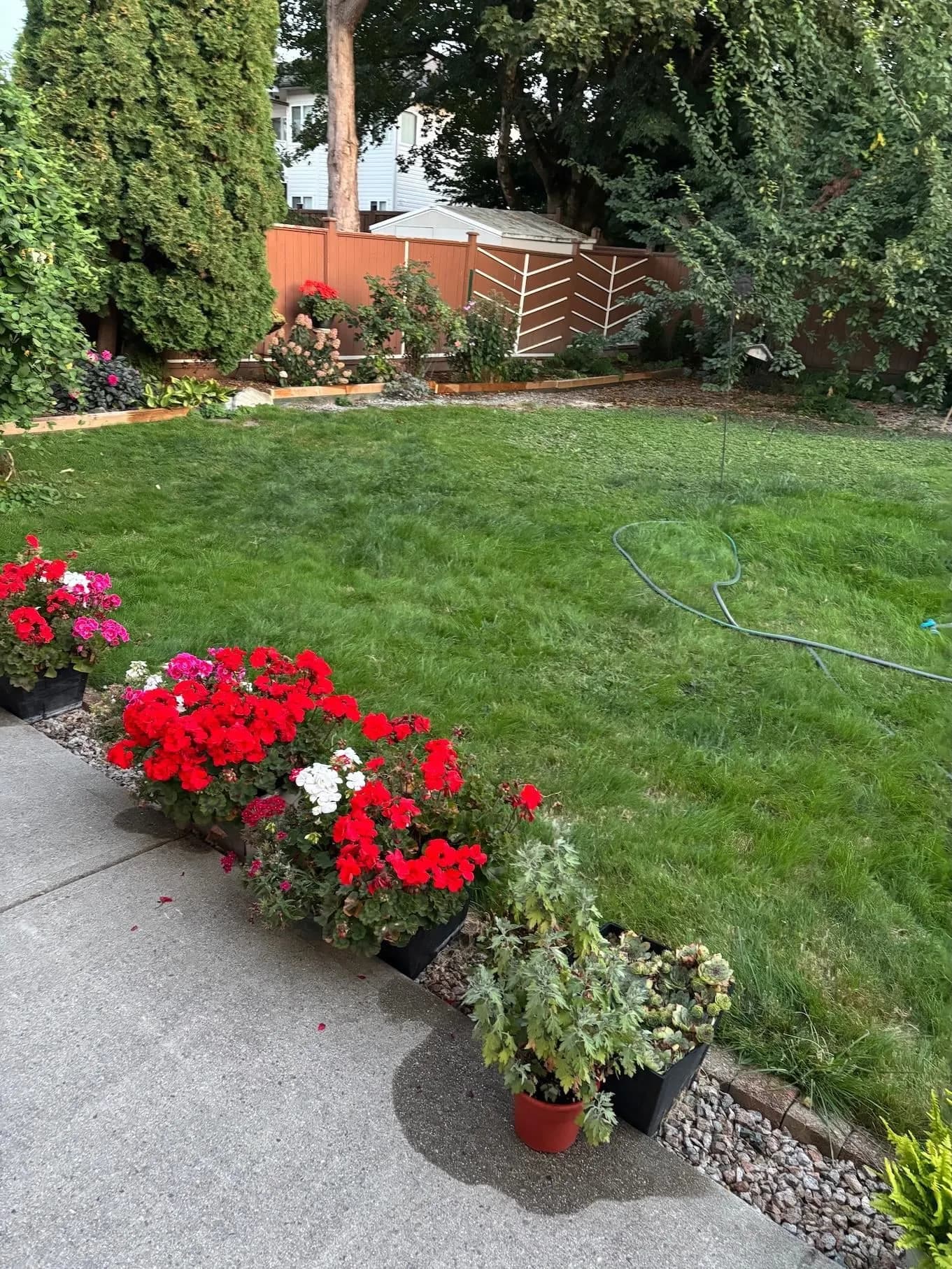 20130 Telep Avenue, Maple Ridge, BC V2X 3M4 — image 26