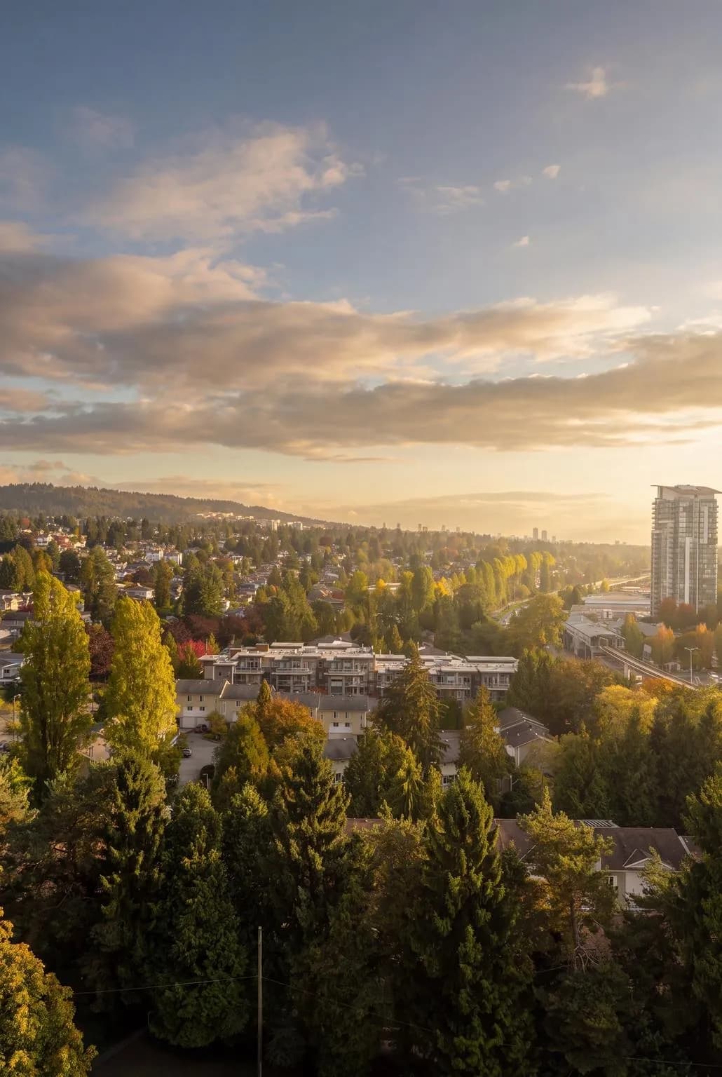 1303 2060 Bellwood Avenue, Burnaby, BC V5B 4V2 — image 28