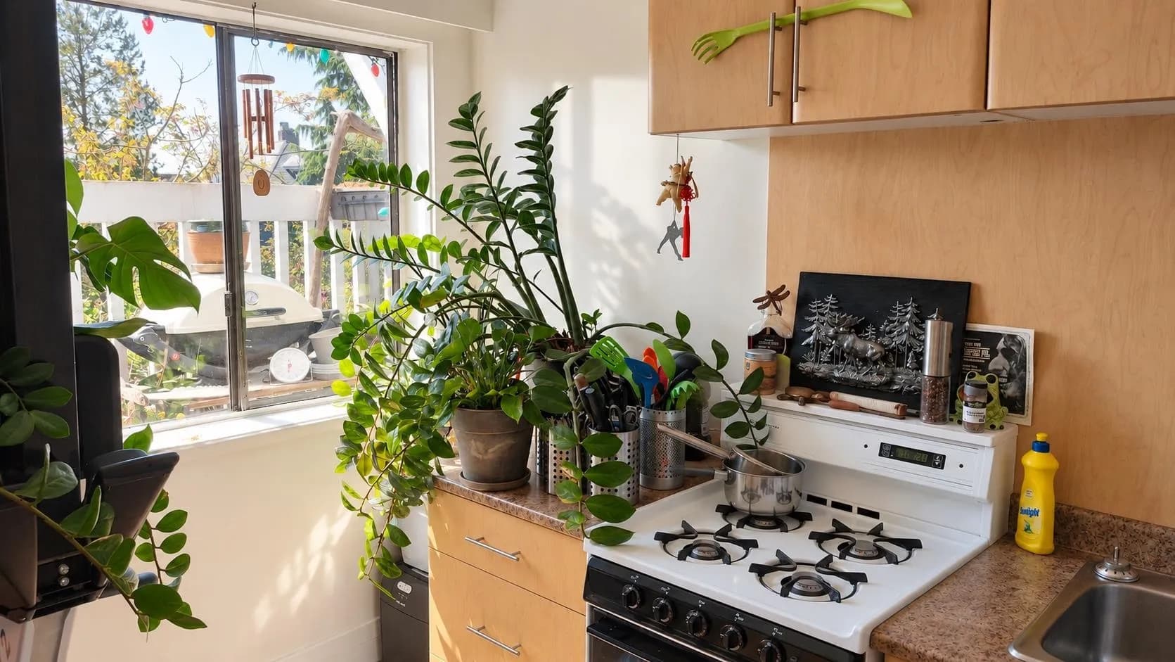 1951 Napier Street, Vancouver, BC V5L 2N6 — image 5