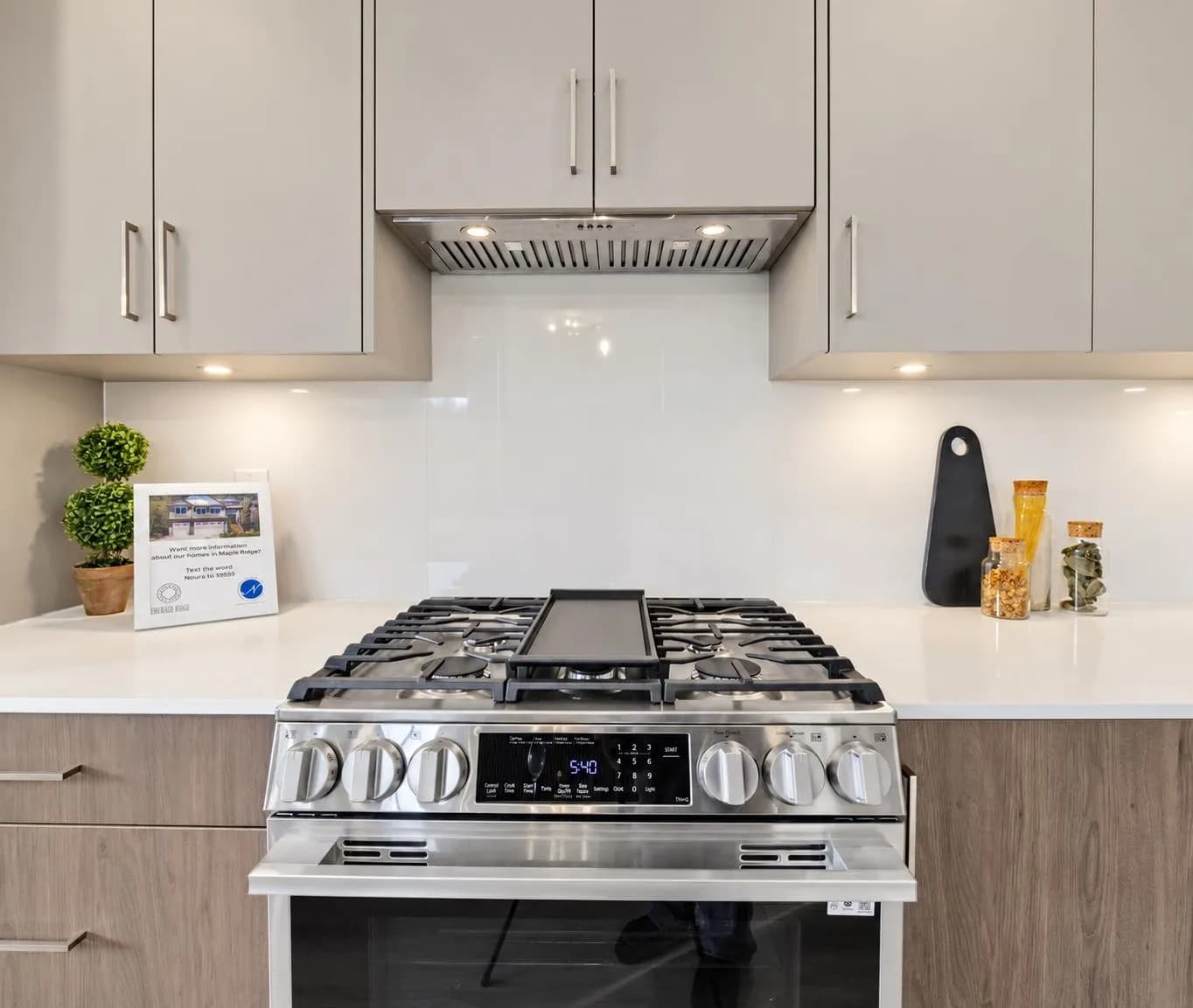 1 11055 Cameron Court, Maple Ridge, BC V2W 1H8 — image 15