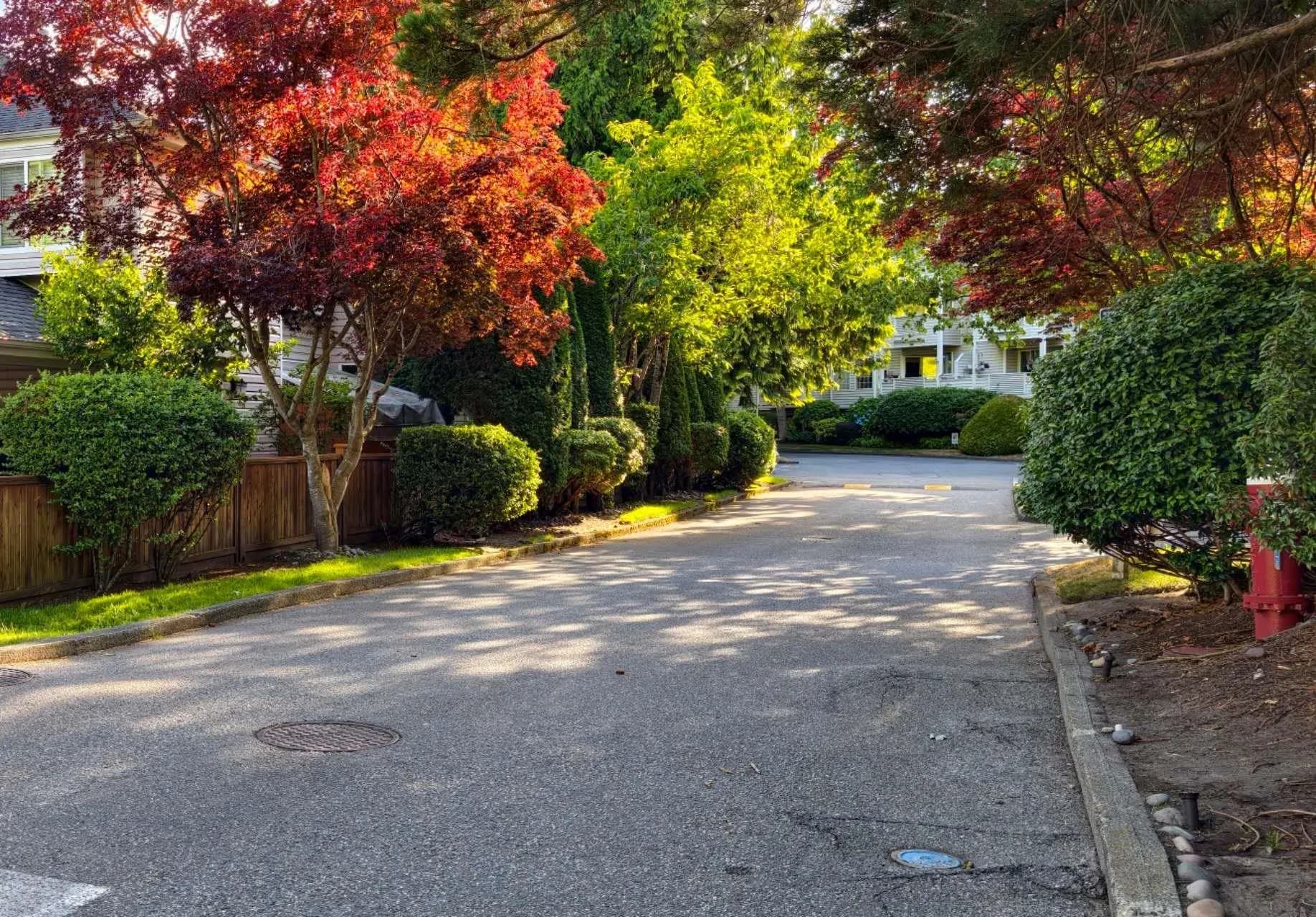 106 7591 Moffatt Road, Richmond, BC V6Y 3N2 — image 13