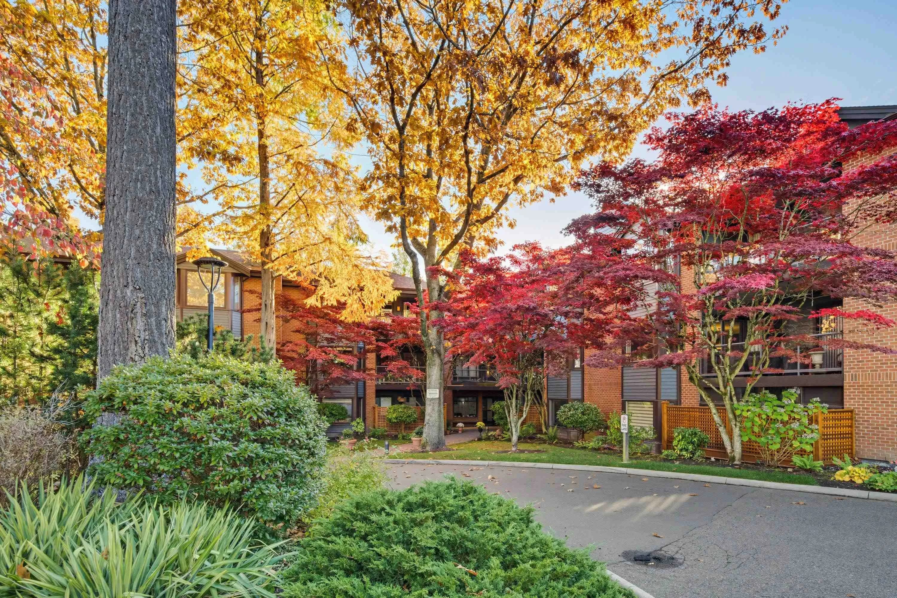 206 15300 17 Avenue, Surrey, BC V4A 8Y6 — image 3